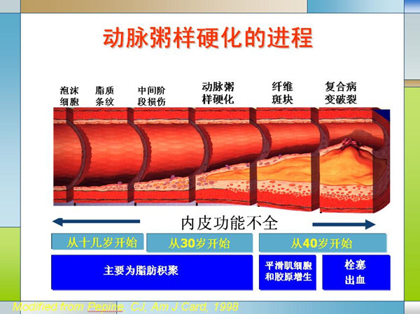 1509707911919002557.jpg 102.jpg