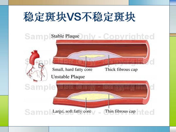 1509707915236023568.jpg 103.jpg