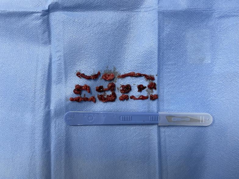 1646906296324057678.png 图片10.png